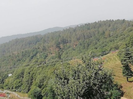 Chaubatia Orchard Treks